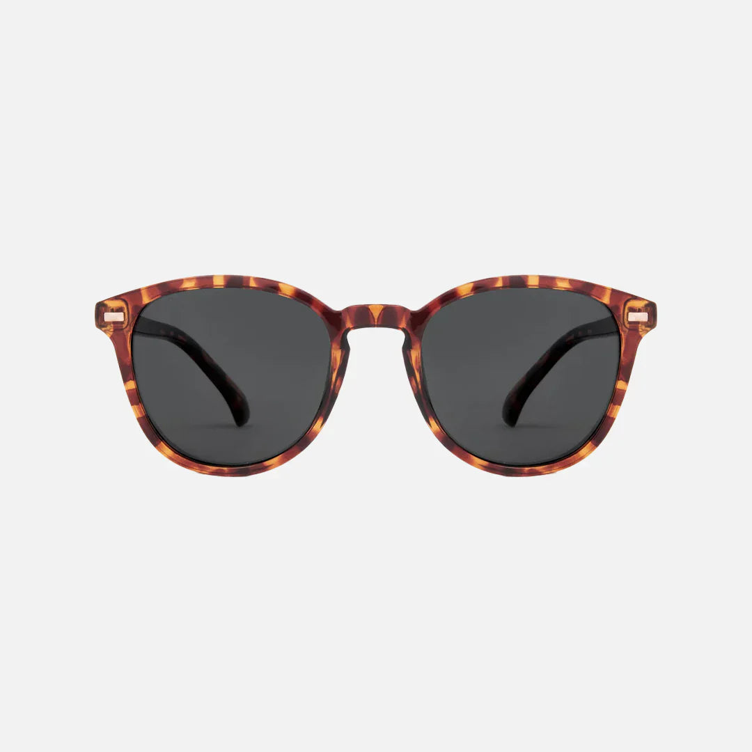 Oslo - Gloss Tort Grey Polarized Lens