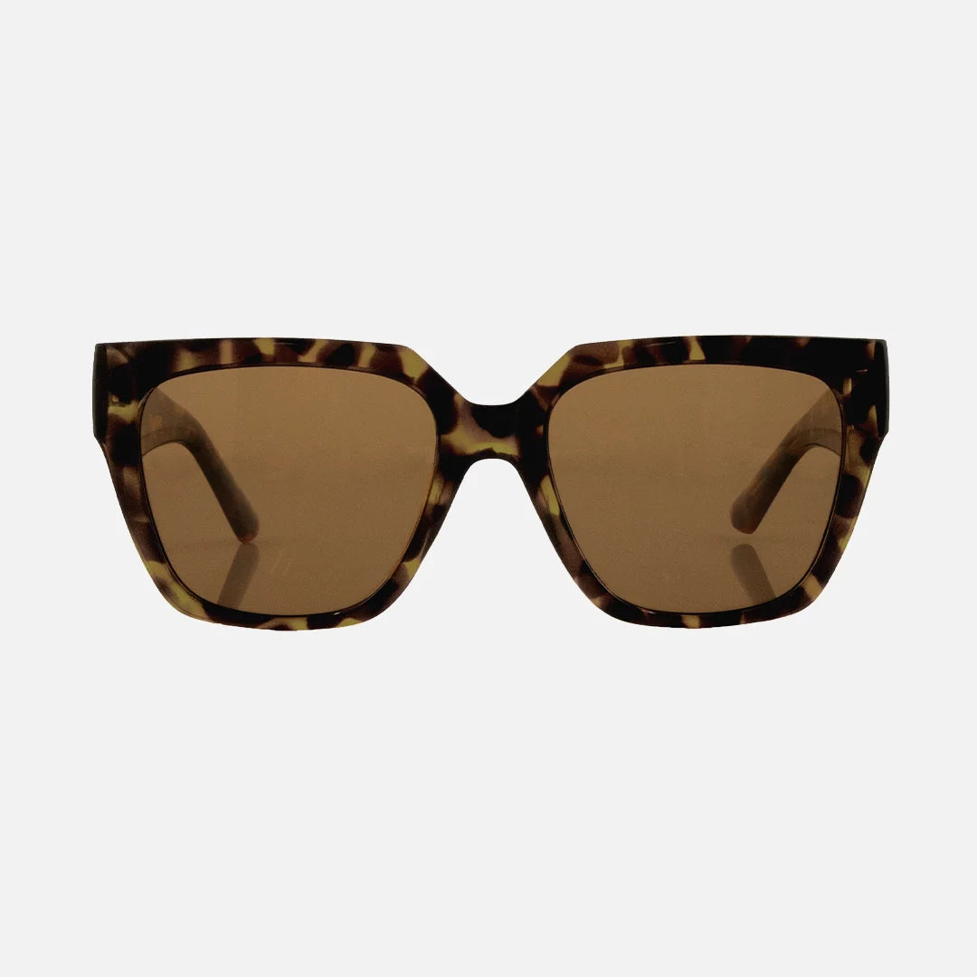 Brooklyn - Gloss Tort Frame Brown Lens