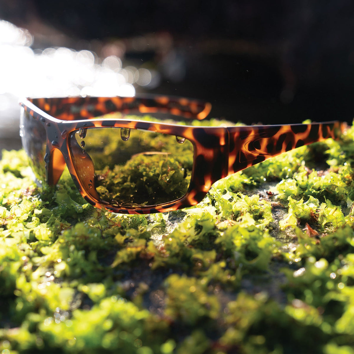 Moray - Floating Matte Tort Frame with Grey Injected Polarized Hydrophobic Lens