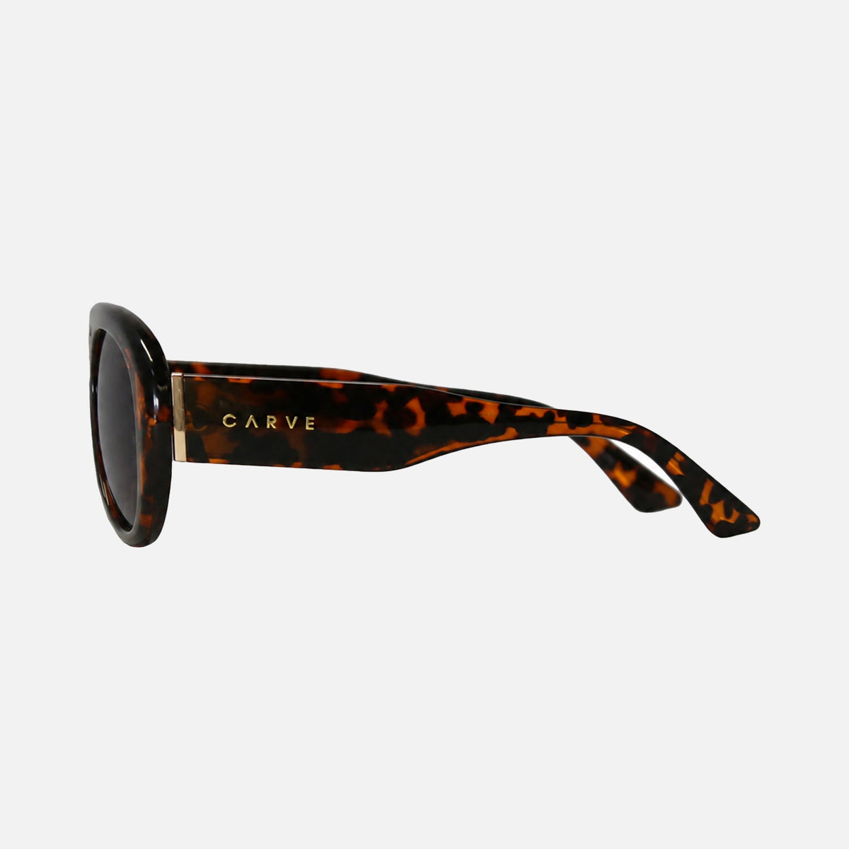 PALOMA - GLOSS TORT FRAME WITH BROWN LENS